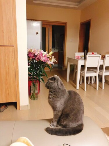 Welcoming 1-bedroom apartment in Shanghai with WiFi