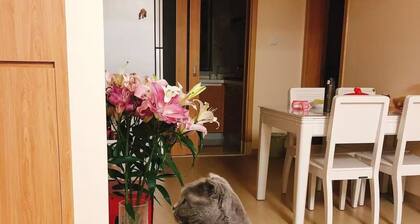 Welcoming 1-bedroom apartment in Shanghai with WiFi