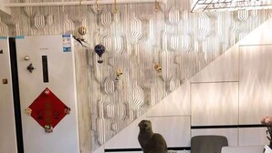 Une cuisine moderne dotée d’un réfrigérateur encastré, d’une table à manger avec des chaises et d’un escalier menant à l’étage supérieur.