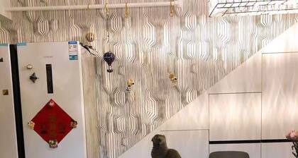 Welcoming 1-bedroom apartment in Shanghai with WiFi