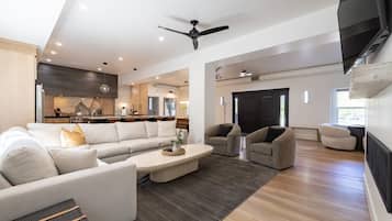 Télévision, cheminée, espaces bureaux