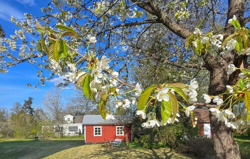 Awesome apartment in Rörvik with WiFi