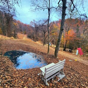 Property grounds - Off grid Couples Cabin in Southern West Virginia (Charleston)