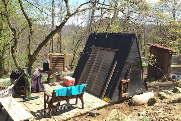 Àrea exterior de l'allotjament