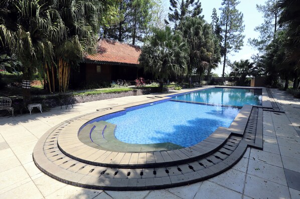Une piscine dotée d’une terrasse carrelée, entourée de palmiers et bordée d’un bâtiment au toit rouge.