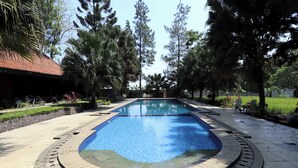 Une piscine rectangulaire, entourée d’une terrasse carrelée, située dans un espace aménagé avec des arbres et un bâtiment en arrière-plan.