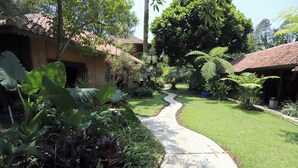 Un sentier mène à un bâtiment traditionnel doté d’un toit en tuiles, entouré d’une végétation luxuriante et de grandes plantes.