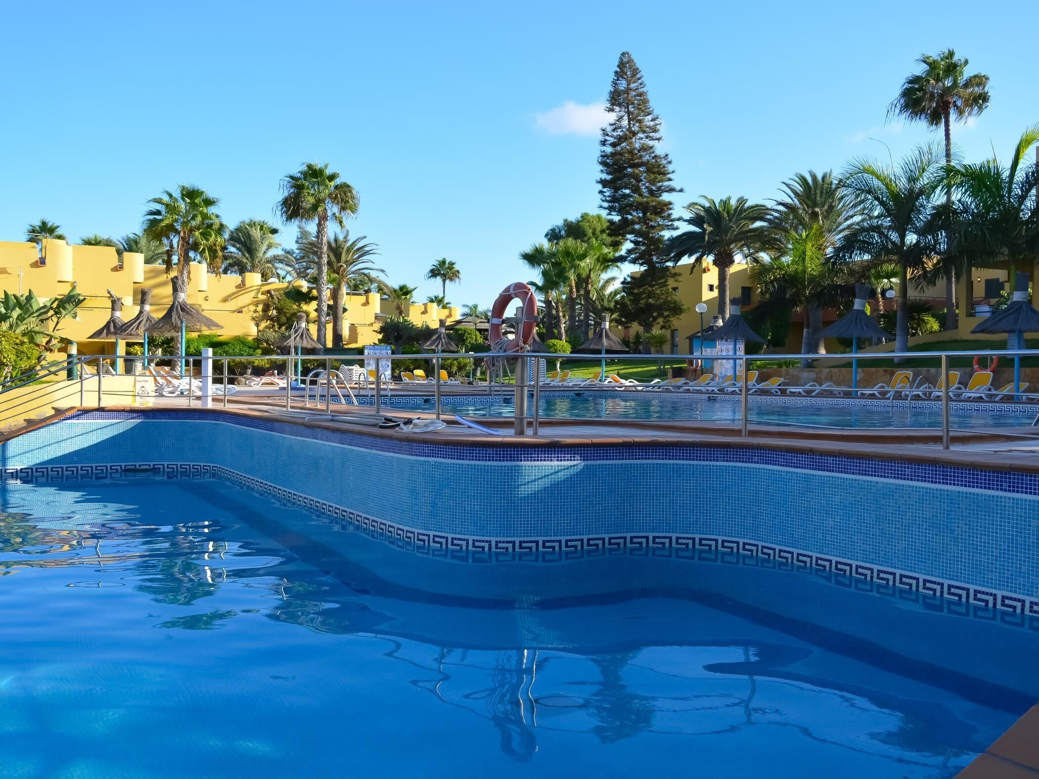 Una piscina con un borde decorativo de azulejos, rodeada de sillones de descanso y palmeras.