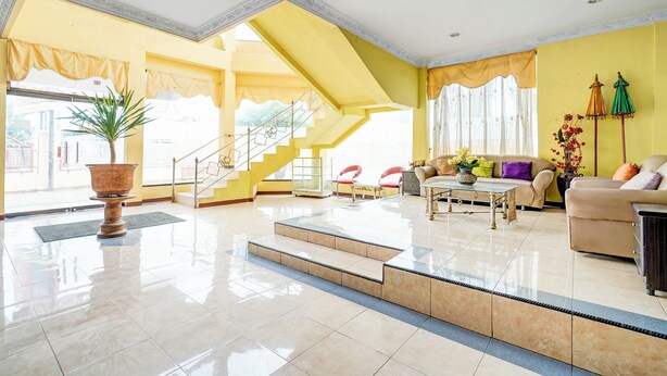 Un amplio salón con una escalera, una gran planta en maceta y un conjunto de sofás.