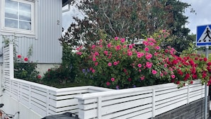 Ett vitt staket med en rad rosa blommor och en blå skylt som visar en övergång för fotgängare.