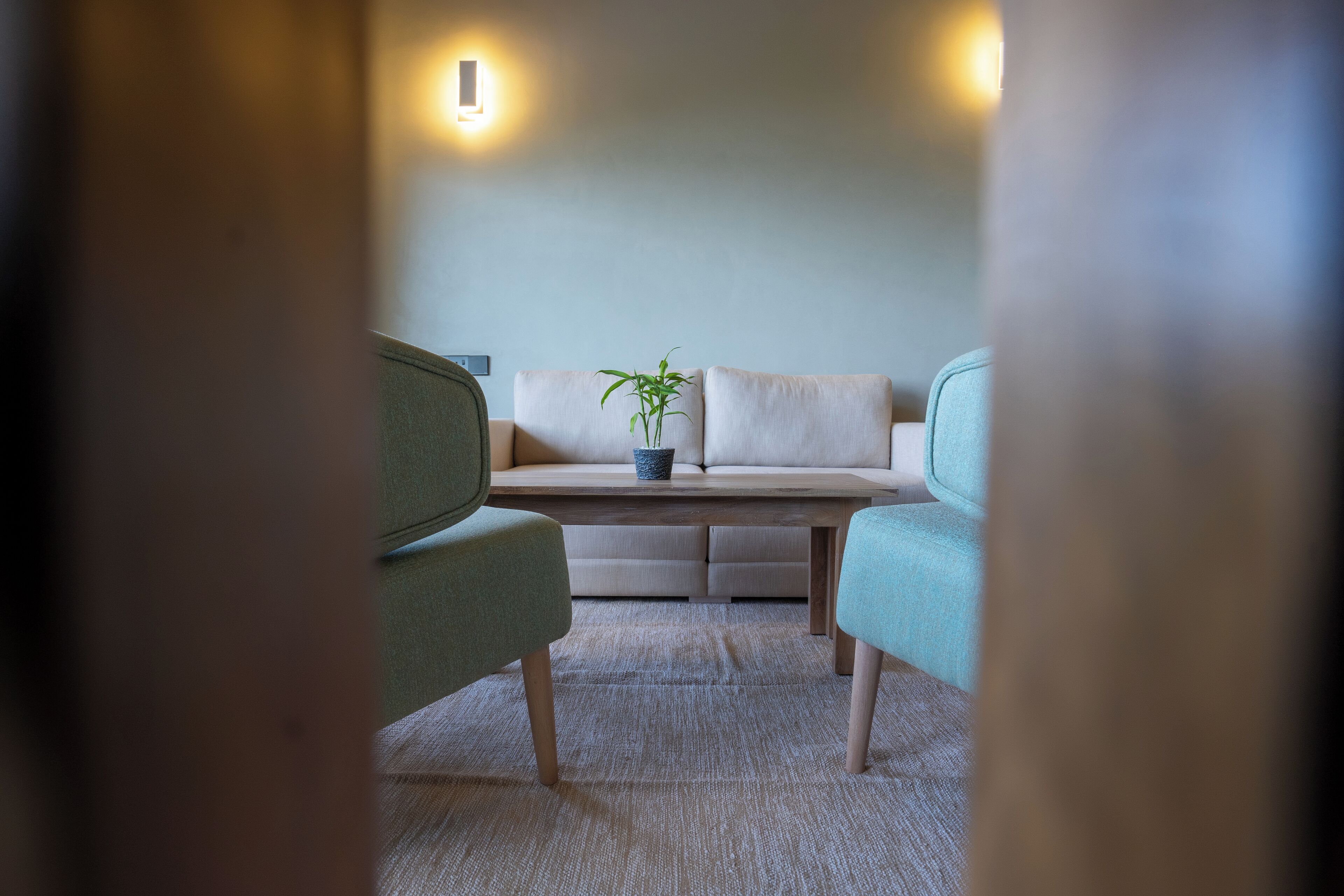 A modern living room with a sofa, two armchairs, a coffee table, and a potted plant.