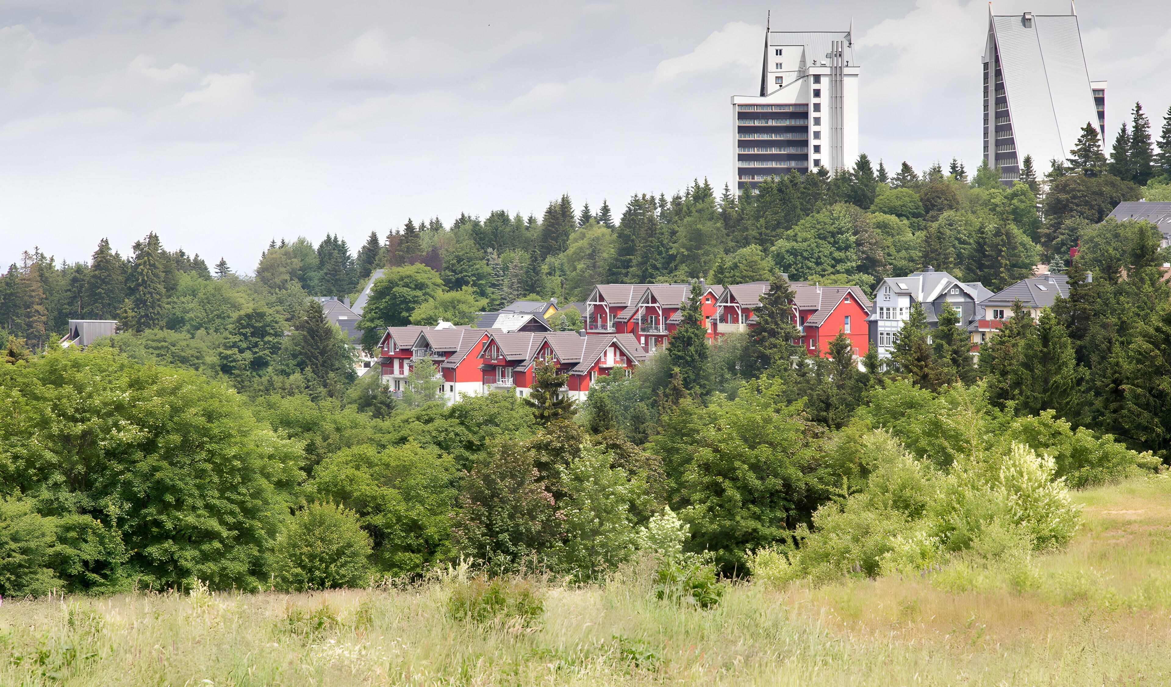 Een woonwijk met huizen, een bebost heuvel en moderne gebouwen op de achtergrond.