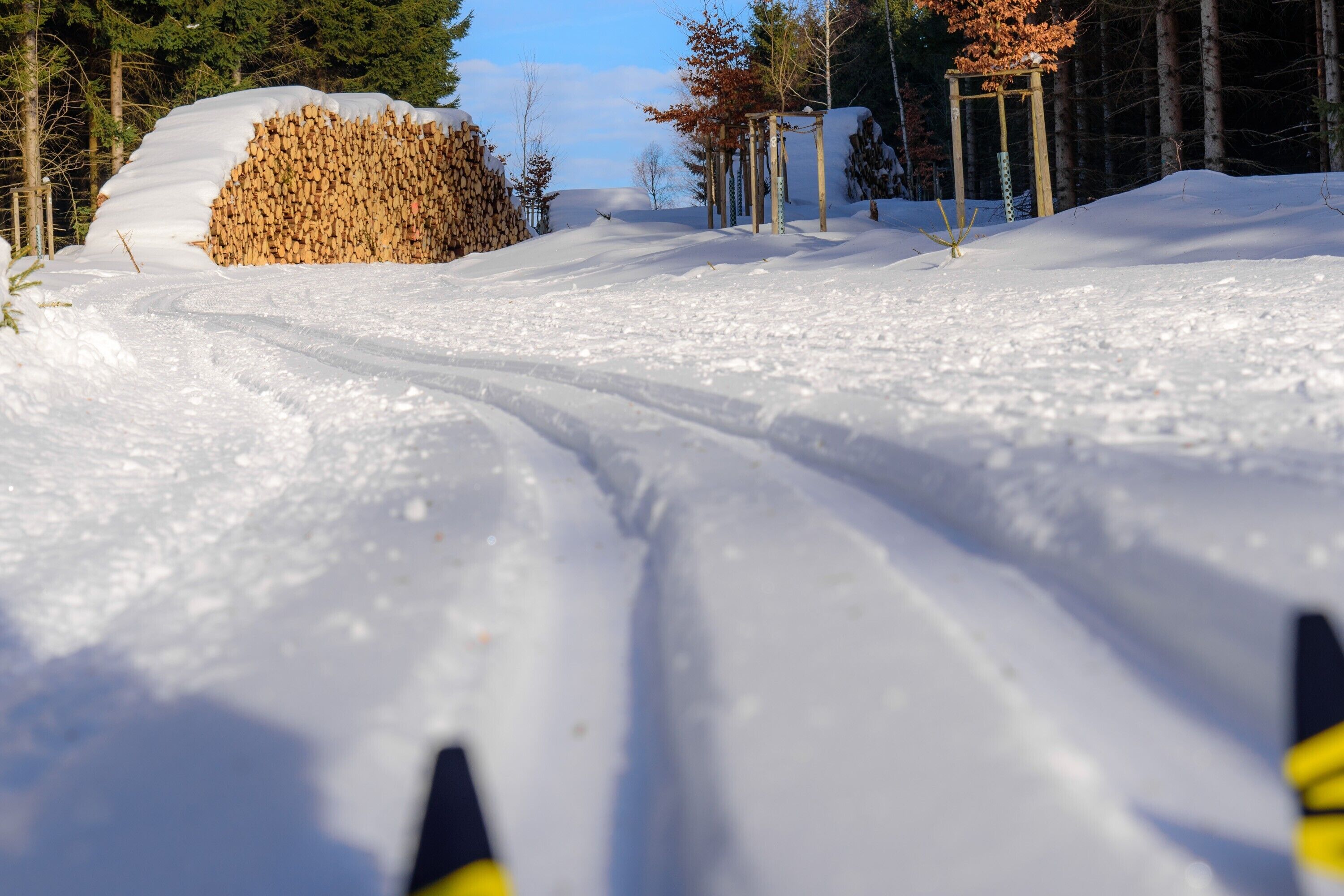 Un paisaje nevado con un montículo de troncos cubiertos de nieve y una estructura de madera.