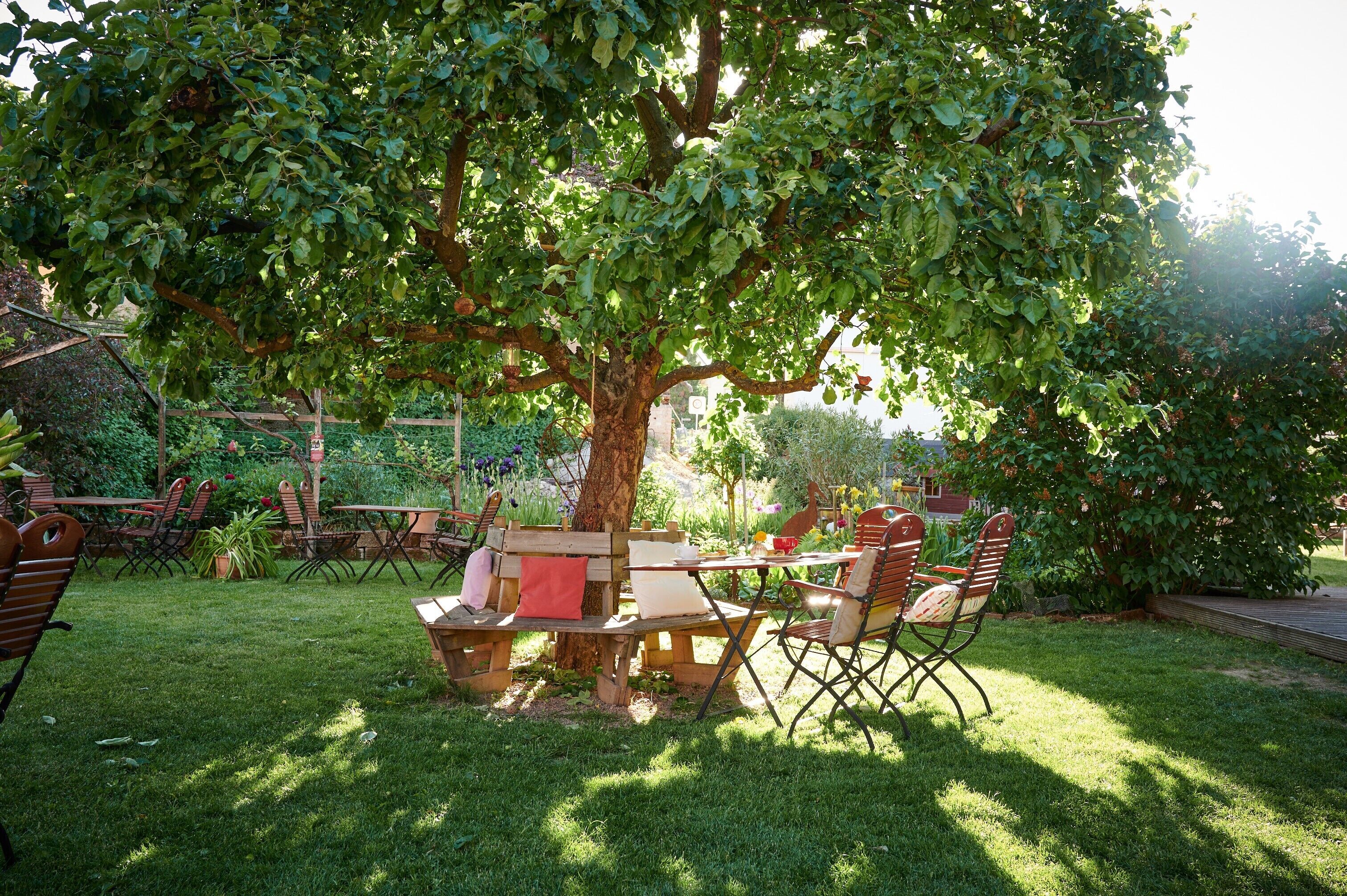 Een terras met een tafel en stoelen onder een boom, omgeven door een gazon en diverse planten.