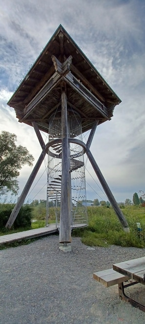 A wooden gazebo with a circular viewing platform, supported by four pillars, in a natural setting.