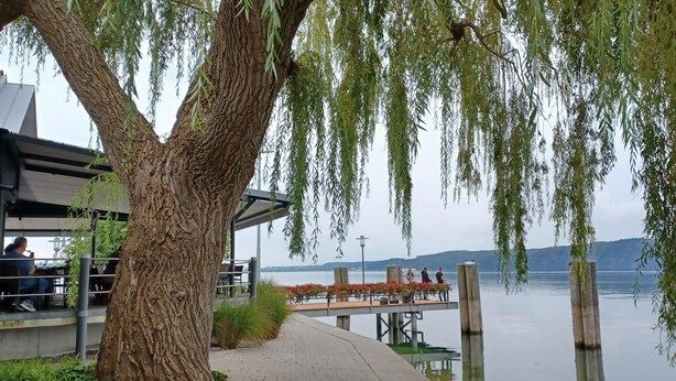 A lakeside restaurant with outdoor seating, a dock, and a large tree providing shade. - Apartment 'Mina' with Shared Terrace, Shared Garden and Wi-Fi (Leibertingen)