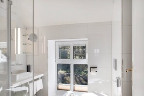 Shower, hair dryer, towels