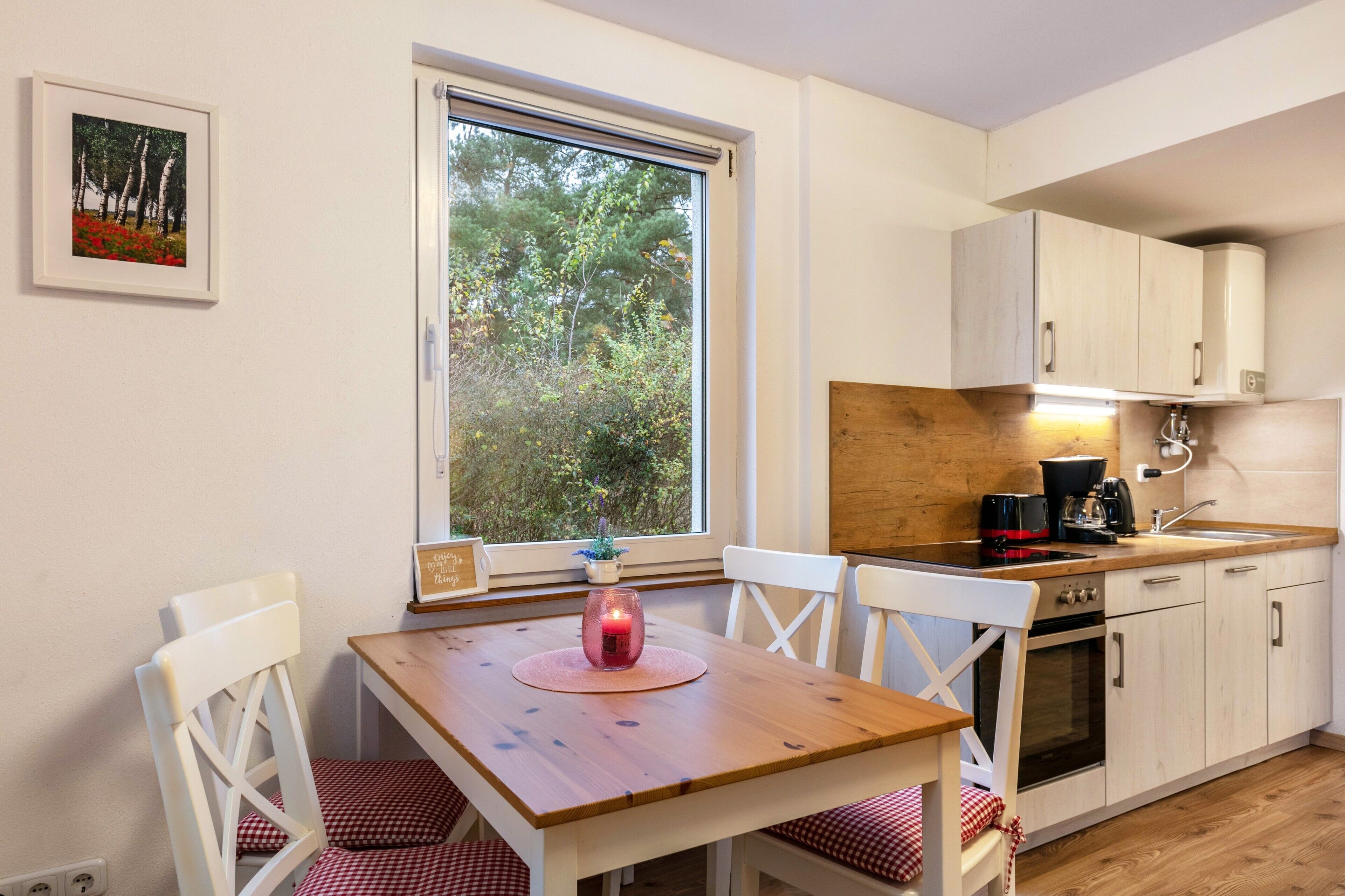 Kühlschrank, Ofen, Herdplatte, Geschirrspüler