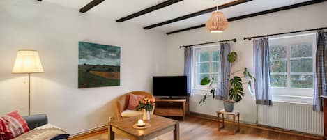 Televisión, chimenea