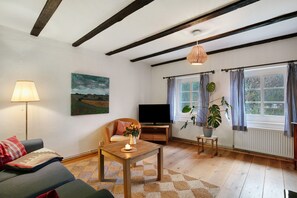 Fernseher, Kamin