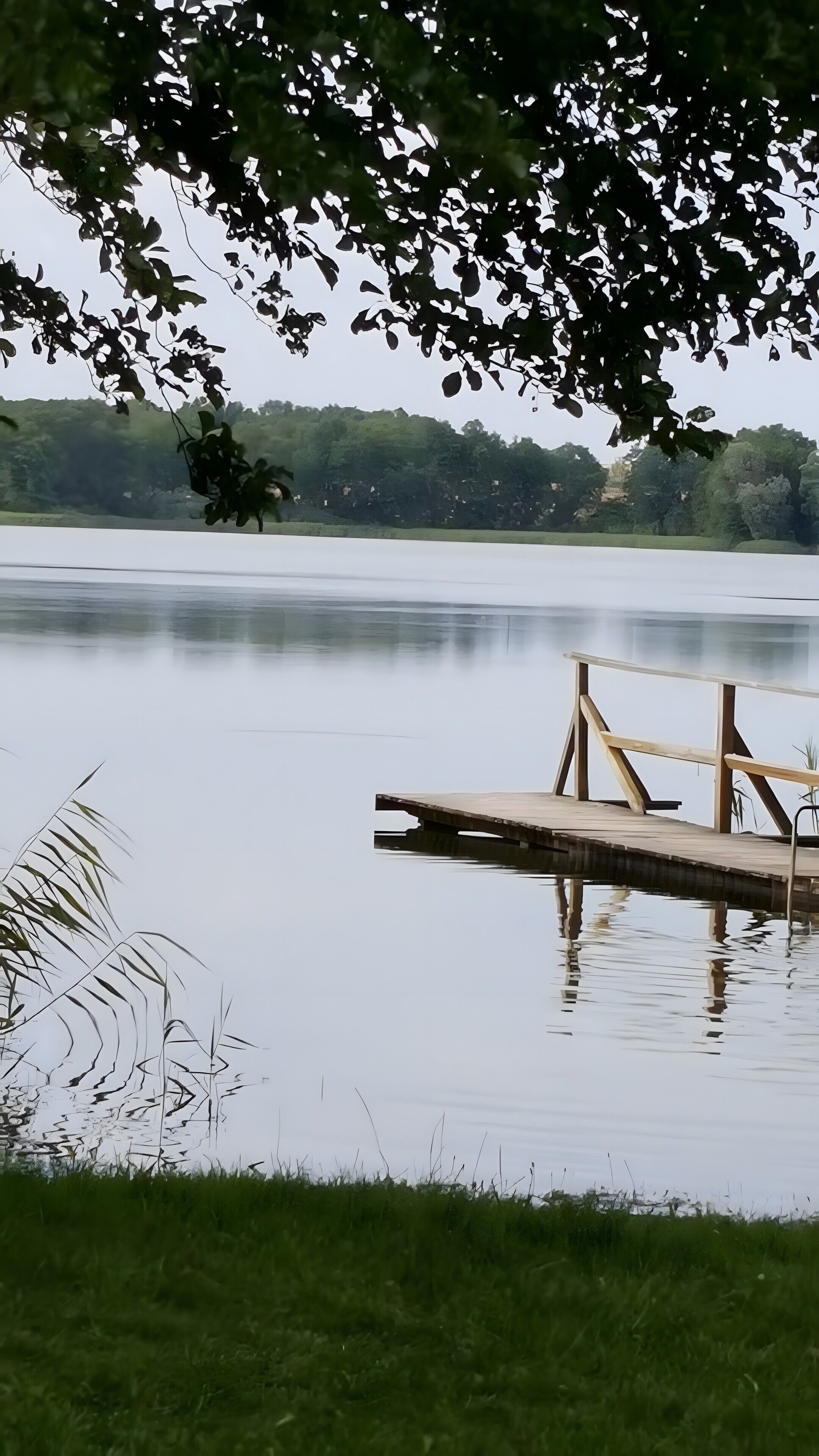 Un lago tranquilo con un muelle de madera que se adentra en el agua, rodeado de follaje y árboles.