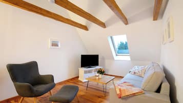 Fernseher