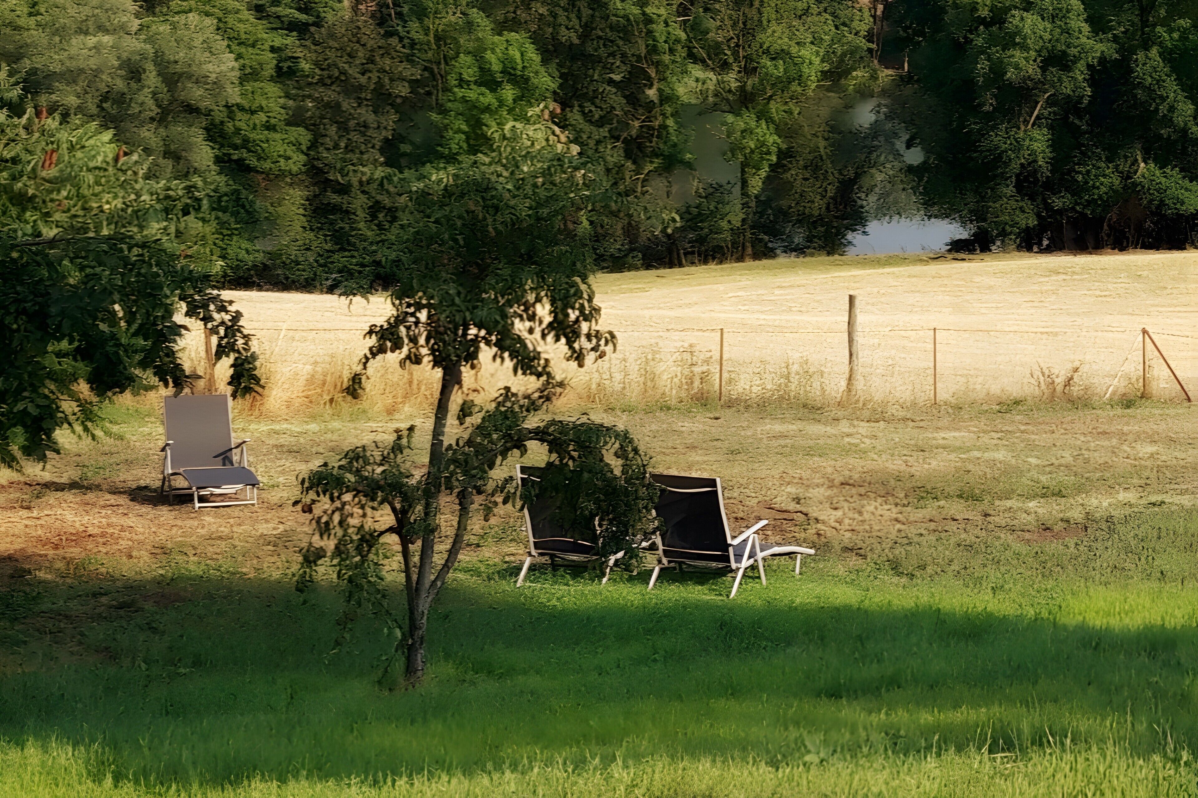 Overnatningsstedets område