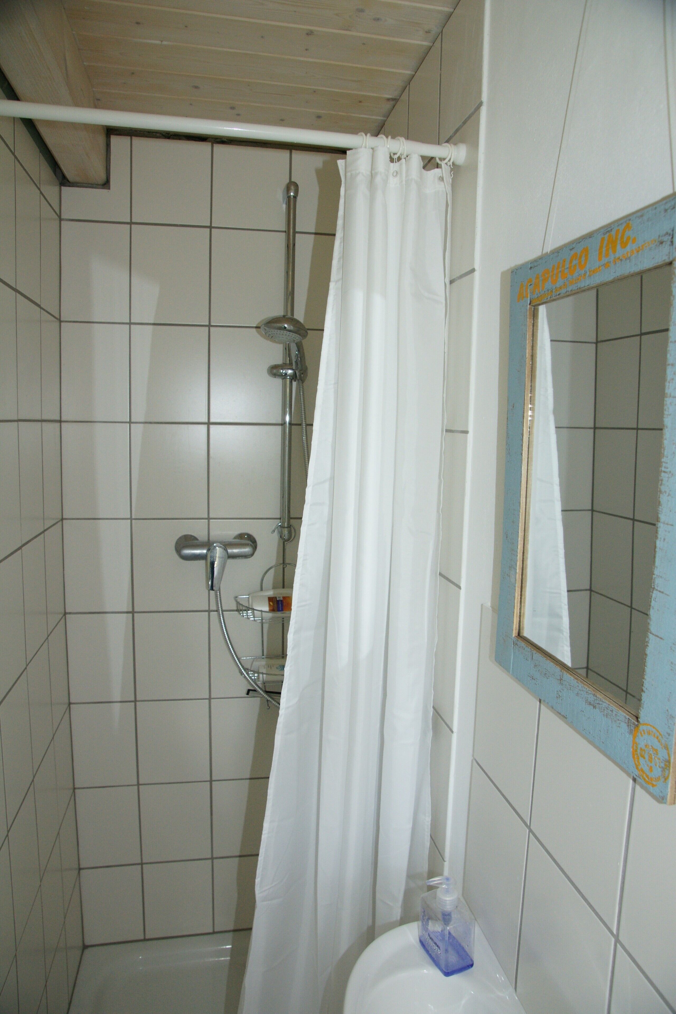 Shower, hair dryer