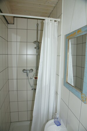 Shower, hair dryer