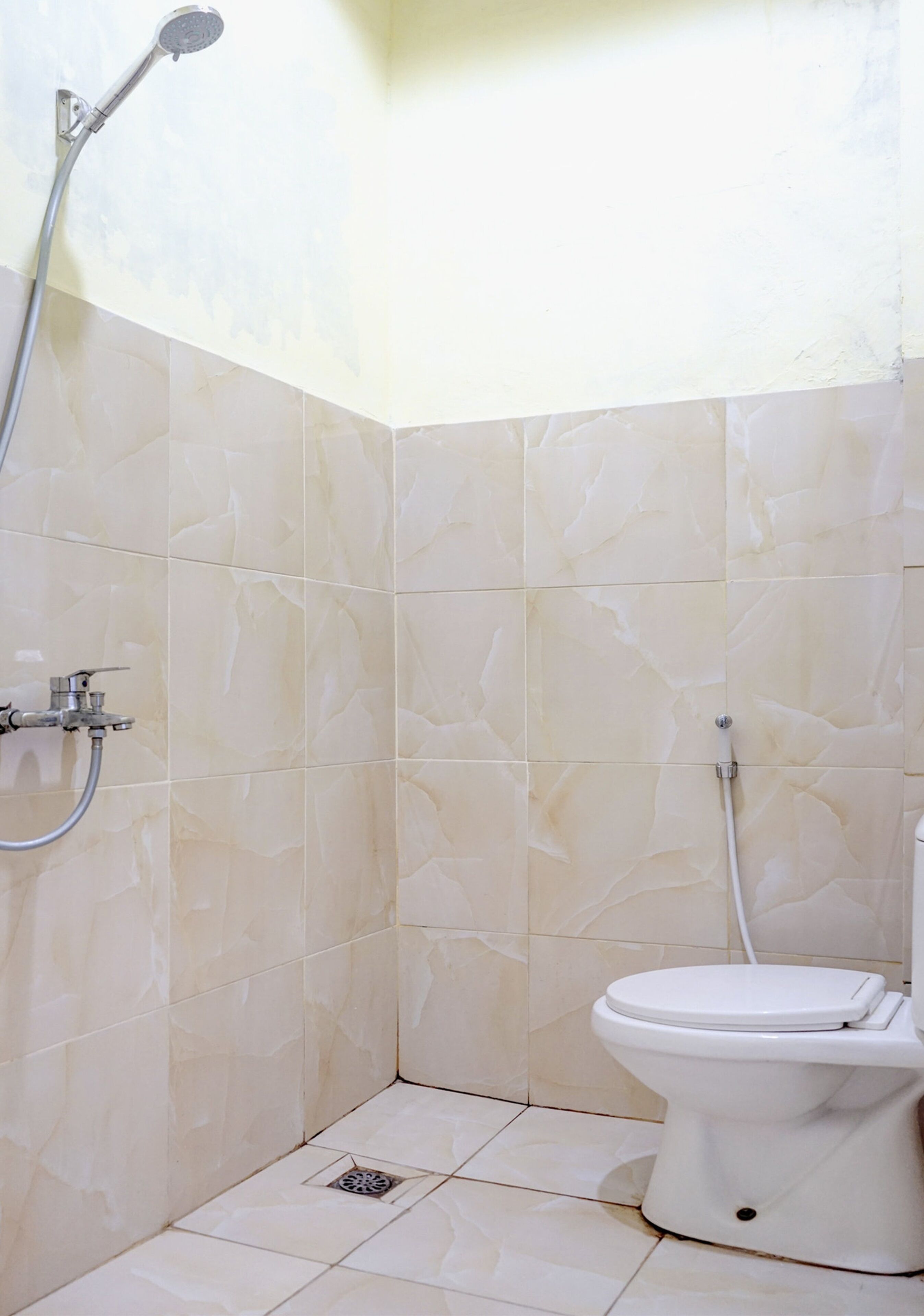 Shower, bidet