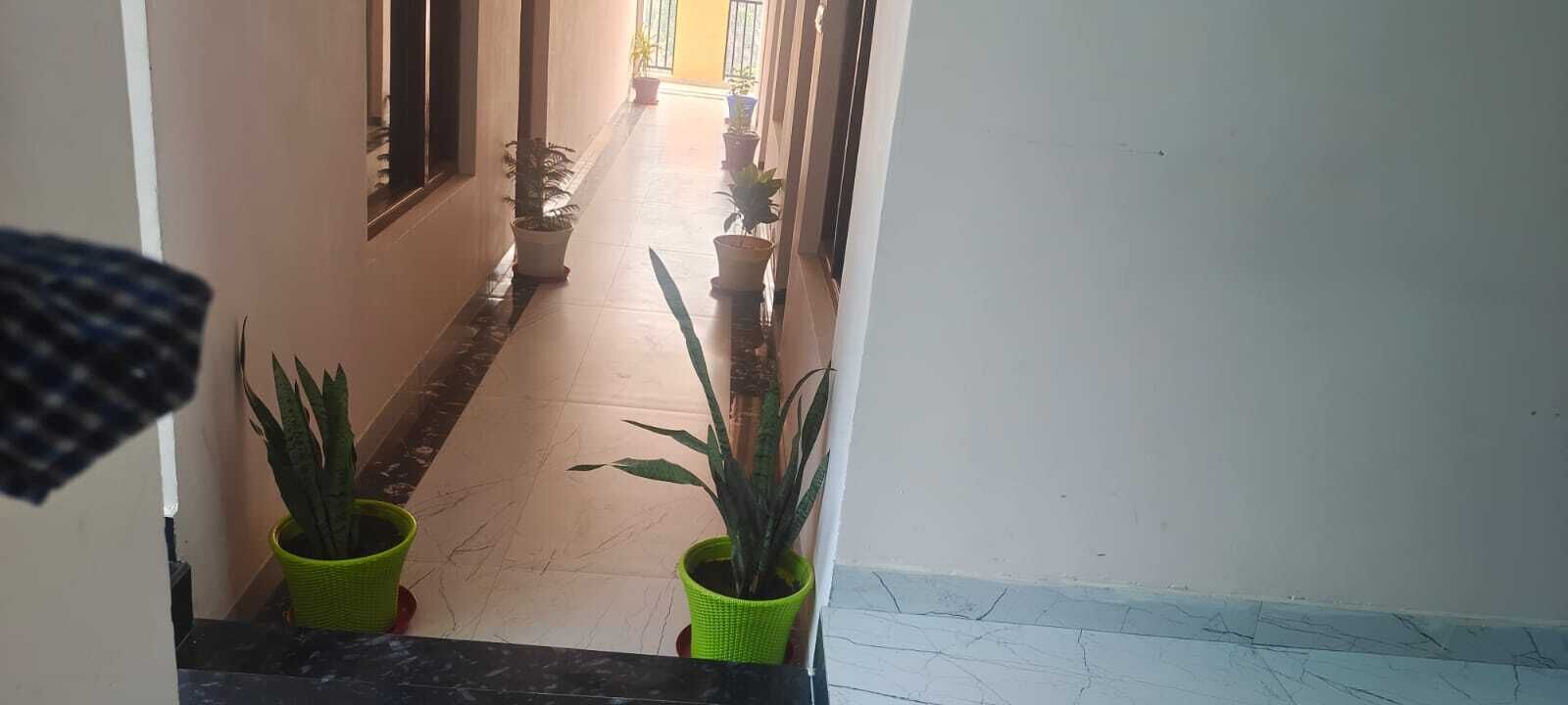 A hallway with potted plants on either side and a tiled floor.