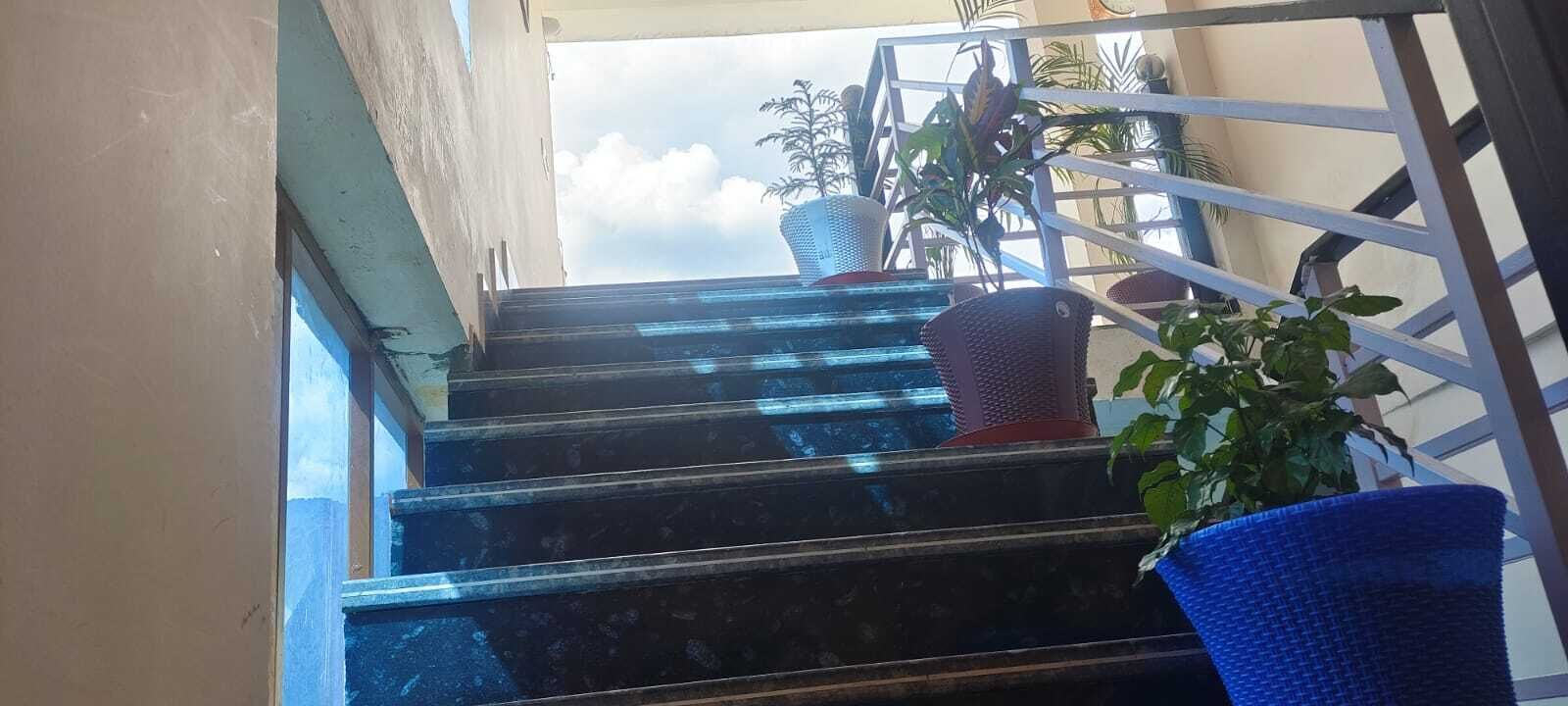 Una escalera con barandilla de metal que conduce a un espacio exterior con plantas en macetas.