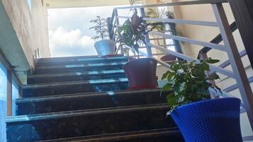 Una escalera con barandilla de metal que conduce a un espacio exterior con plantas en macetas.