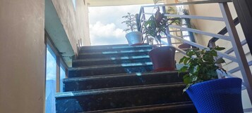 Una escalera con barandilla de metal que conduce a un espacio exterior con plantas en macetas.