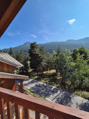 Property grounds - 1km from the nearest slopes, Chalet for 12 people with shuttle at the foot of the slopes (La Salle-les-Alpes)