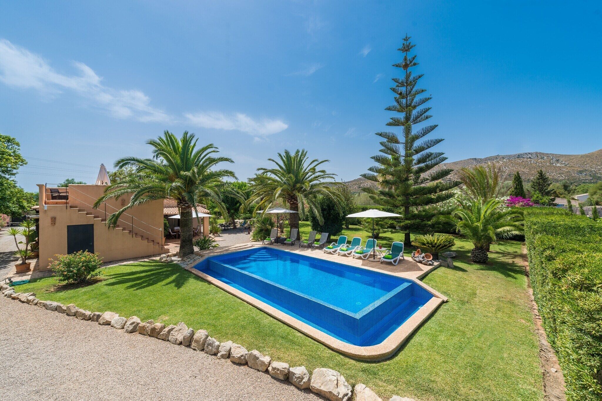 A rectangular swimming pool surrounded by a well-manicured lawn, with a few palm trees and a mountain in the background.