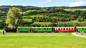 Un tren verde y rojo con la leyenda 'STEIERL' y 'MURTB' visible, que atraviesa un paisaje rural con campos verdes y árboles.