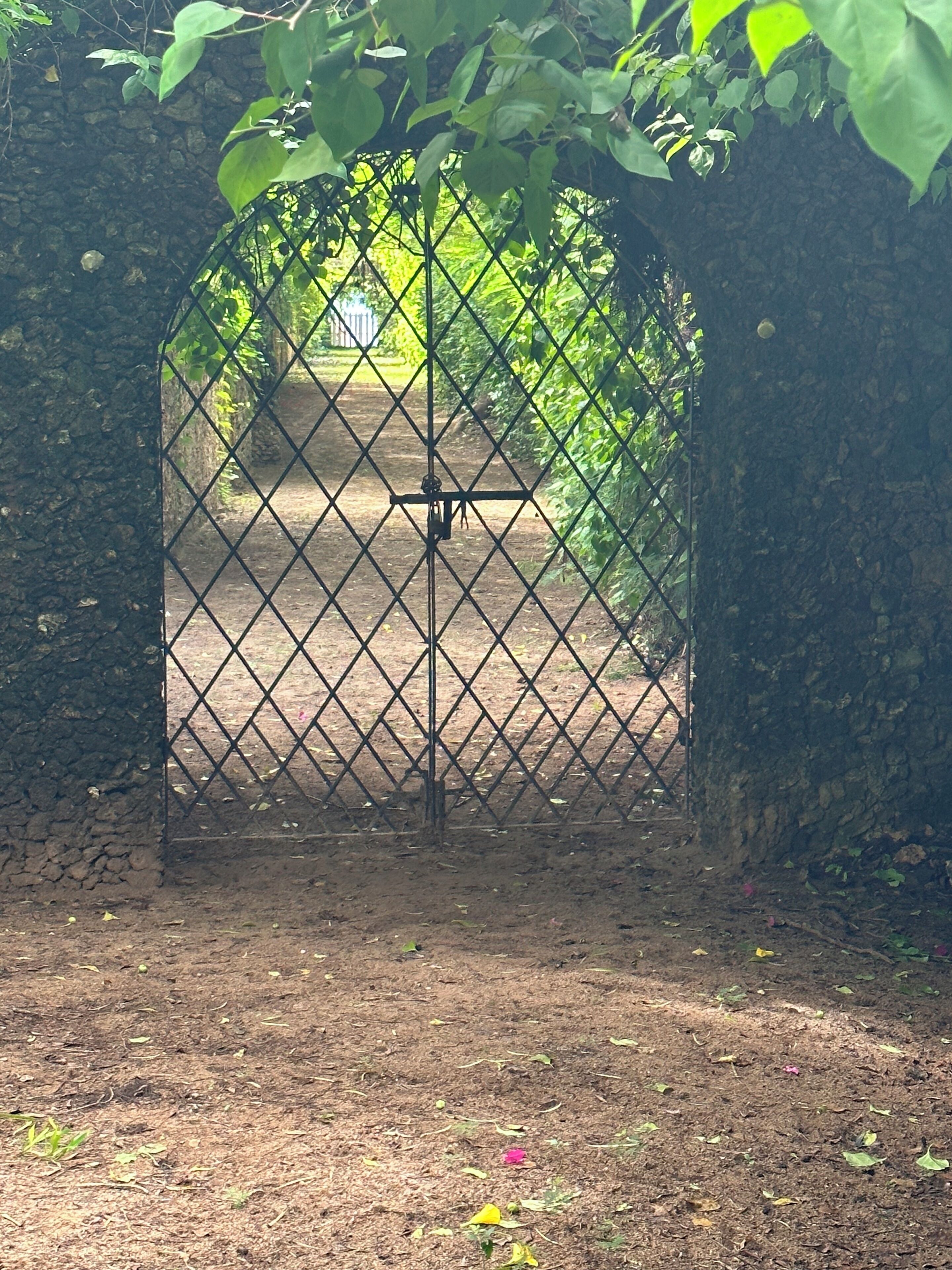 A metal gate with a lock, surrounded by greenery and a stone wall.