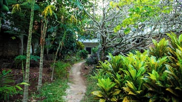 Udendørsområde