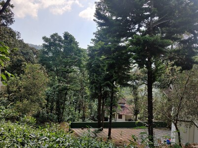 Disha plantation Resort 