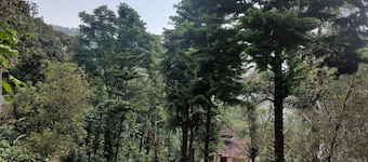 Disha plantation Resort