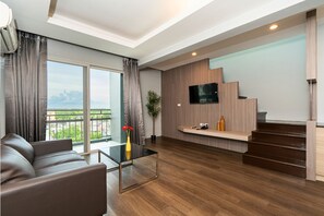 Deluxe Duplex | 起居区 | 电视