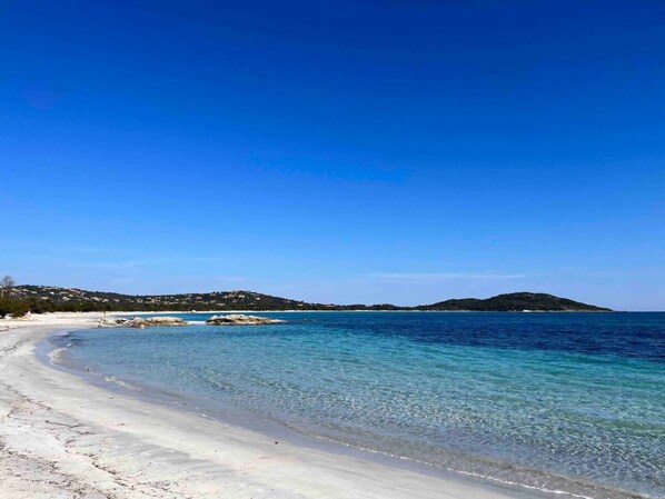 Tæt på stranden