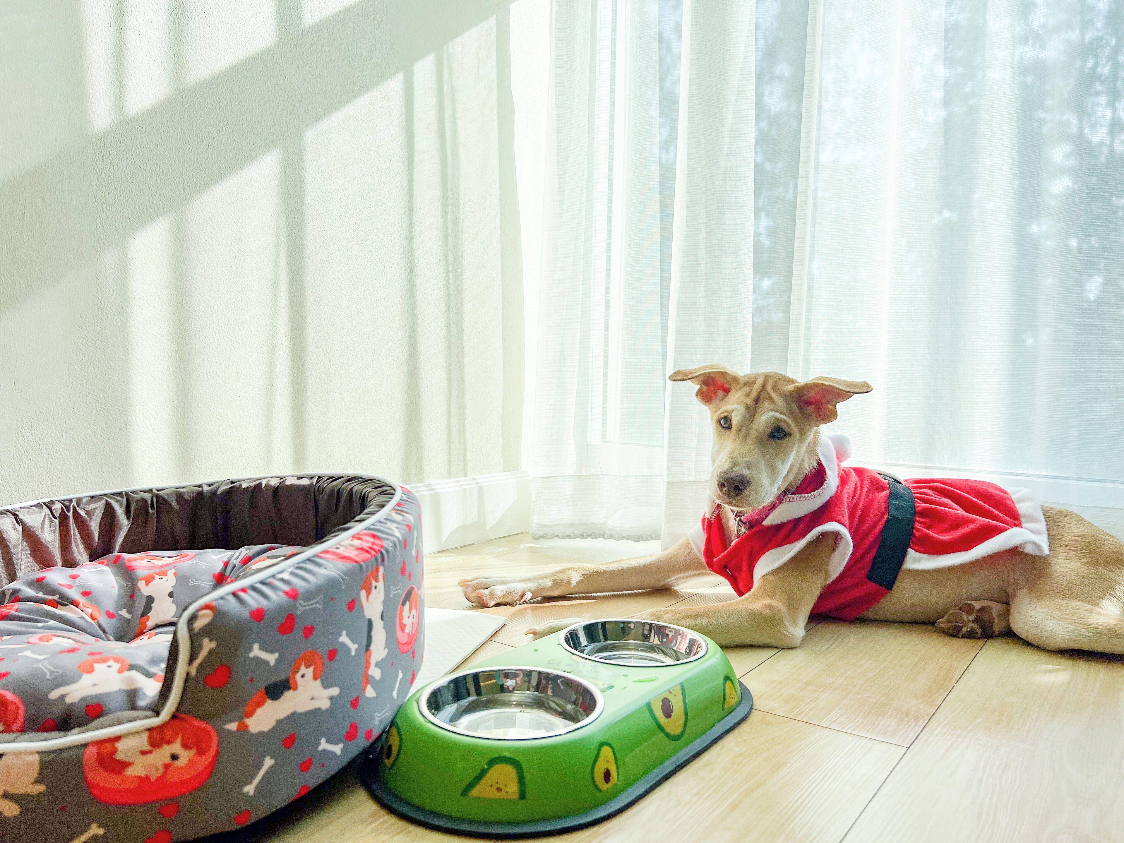 Quarto casal ou duplo standard | Frigobar, cofres nos quartos, escrivaninha, cortinas blackout