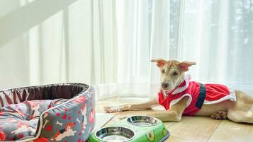 Kaset Pet-friendly Room | Minibar, in-room safe, desk, blackout drapes