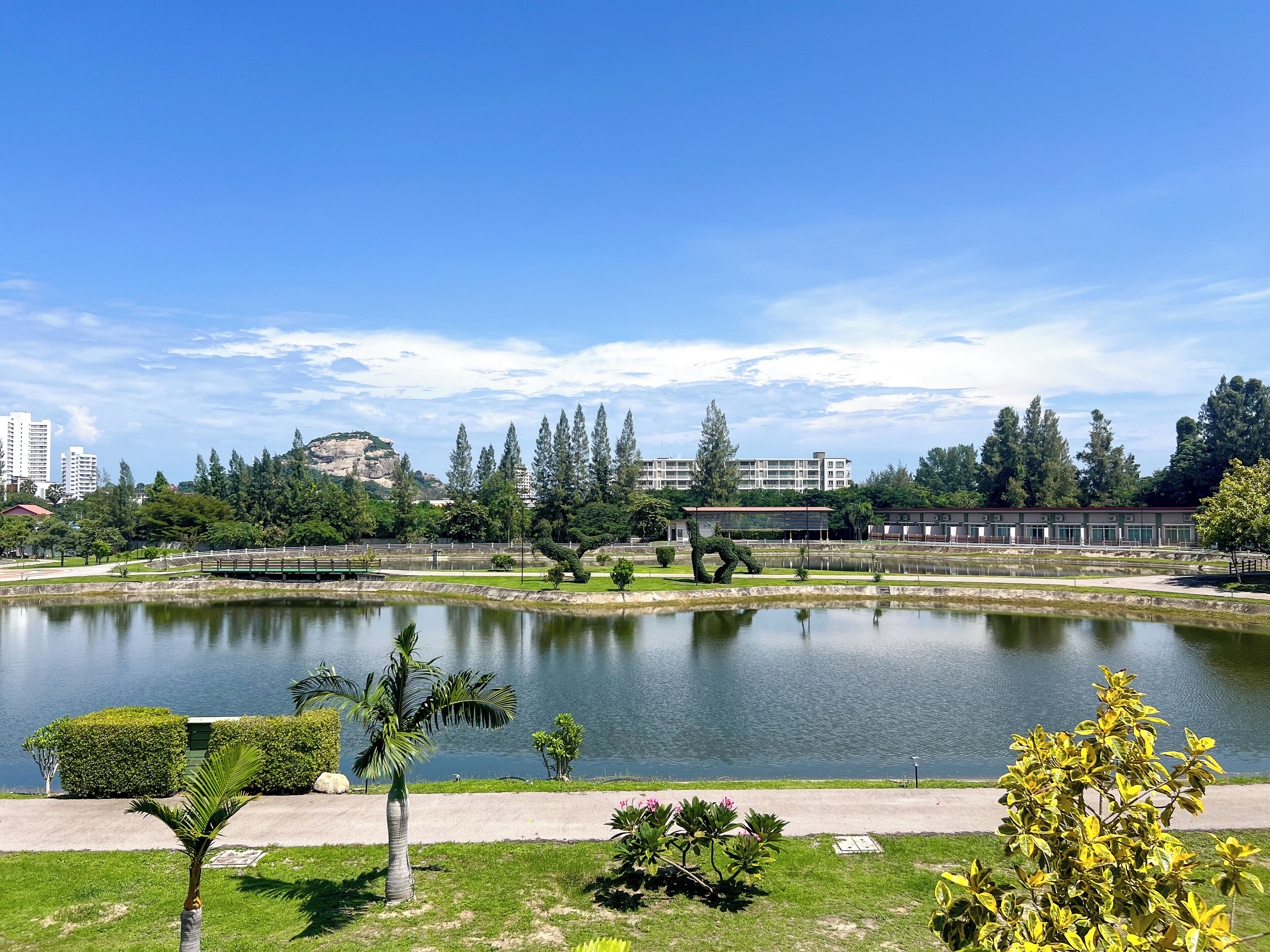Un parque tranquilo con un lago, senderos y diversas especies de árboles y arbustos.