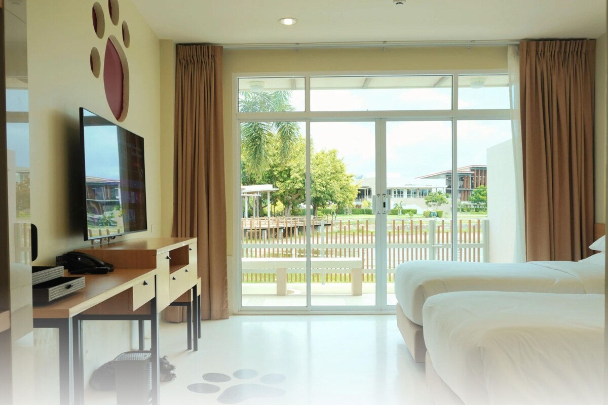 A pet-friendly hotel room with a large window, a desk with a TV, and a bed.