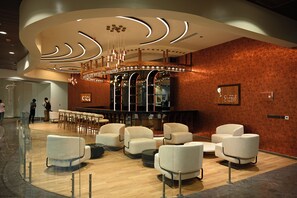 TV - 0484 Aero Lounge - Terminal 2, Cochin Airport Hotel (Aluva)