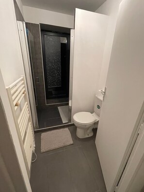 Shower, towels, soap, toilet paper