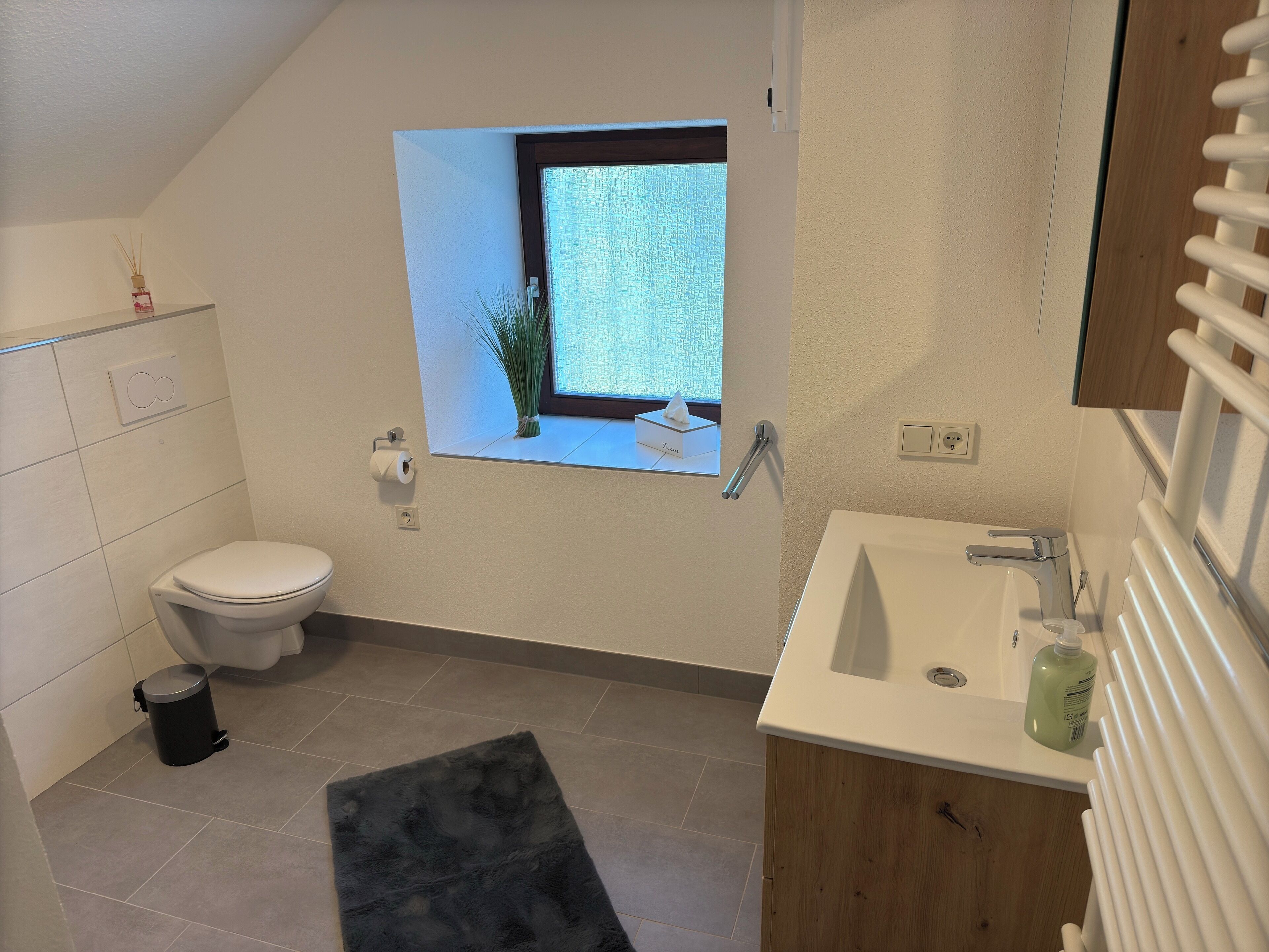 Dusche, Handtücher, Seife, Toilettenpapier